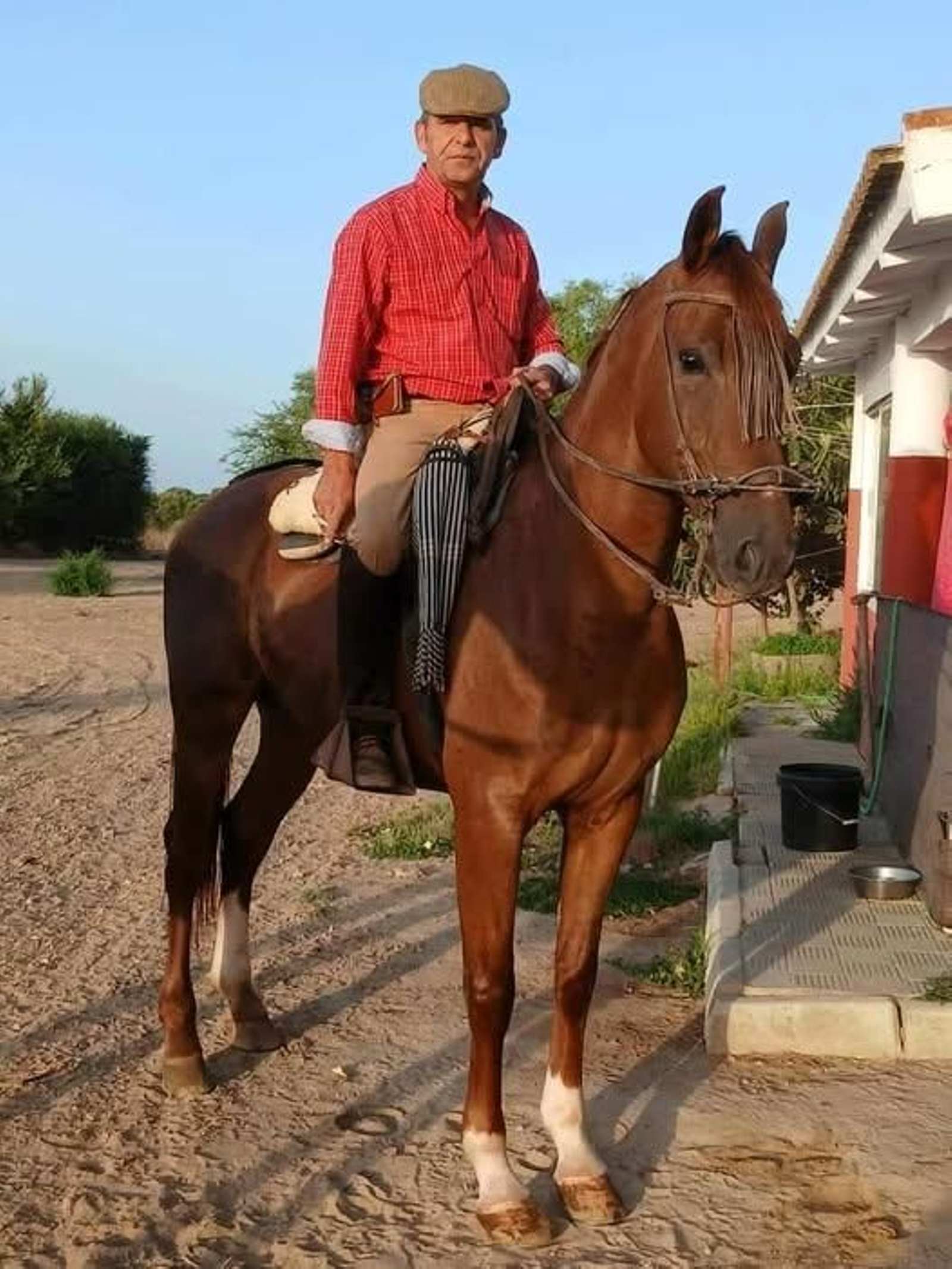 Julián Ruiz Quinta, mayoral de Partido de Resina
