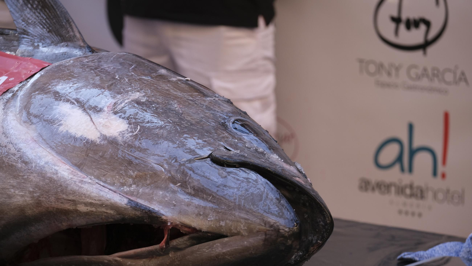 El ronqueo del atún de Almadraba en el Espacio Gastronómico Tony García, en imágenes
