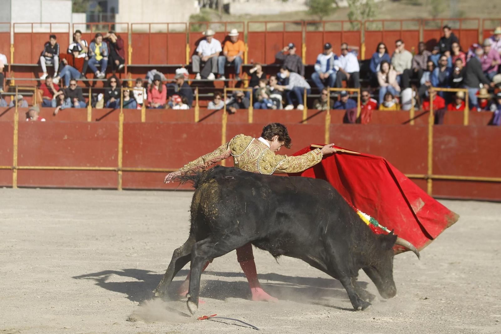 Fotogalería Novillada Fiestas de Abrucena