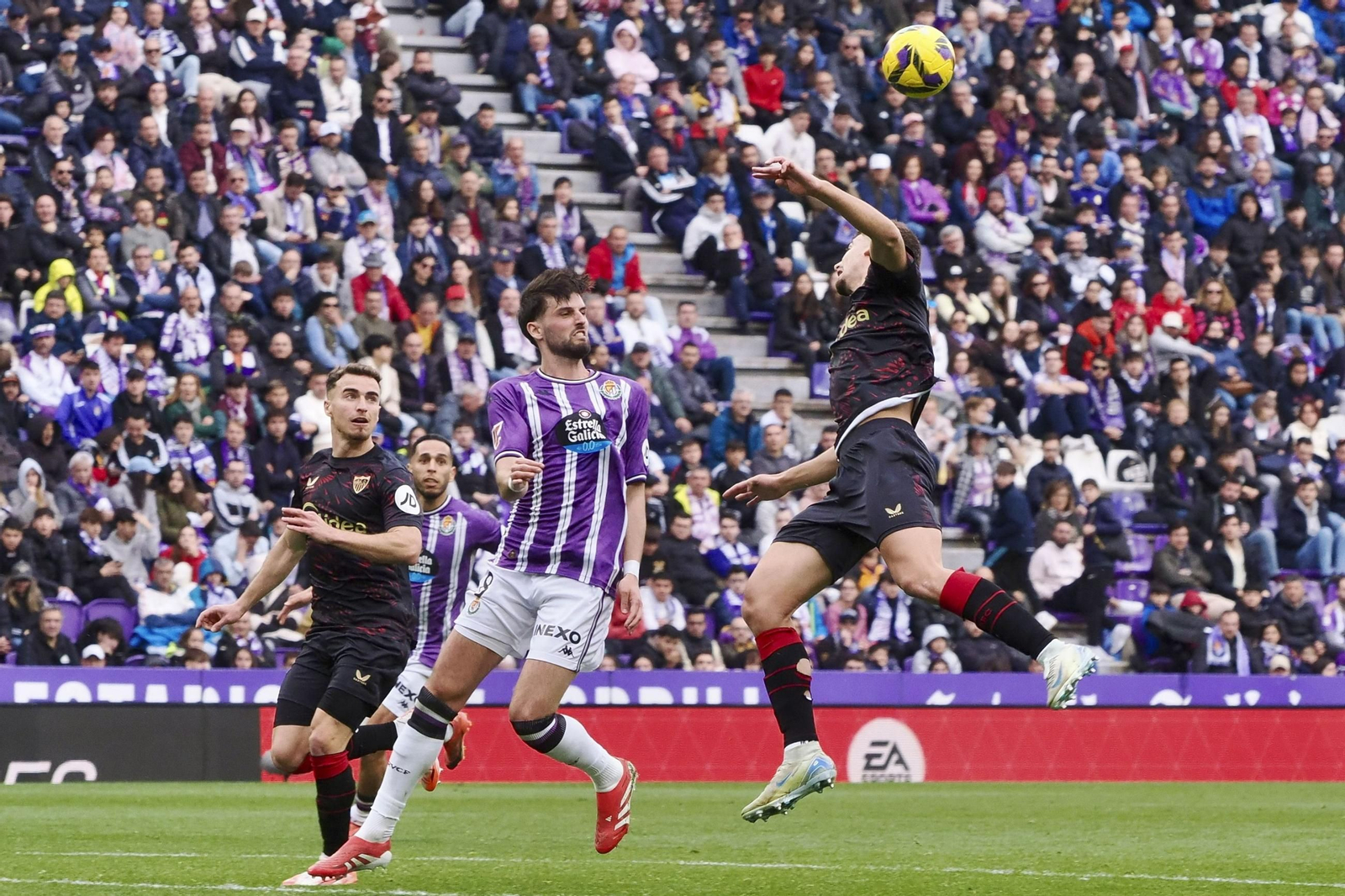 Las fotos del Valladolid - Sevilla