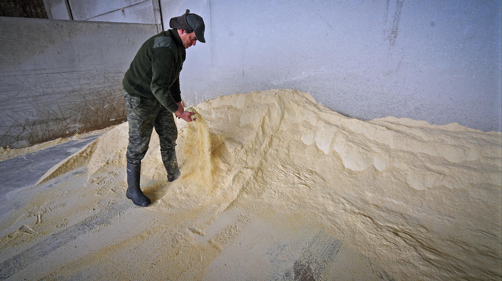 Así se ha vivido en Jerez un día más de huelga del transporte