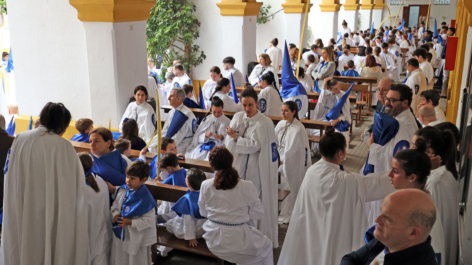 Domingo de Ramos: Hermandad de la Borriquita