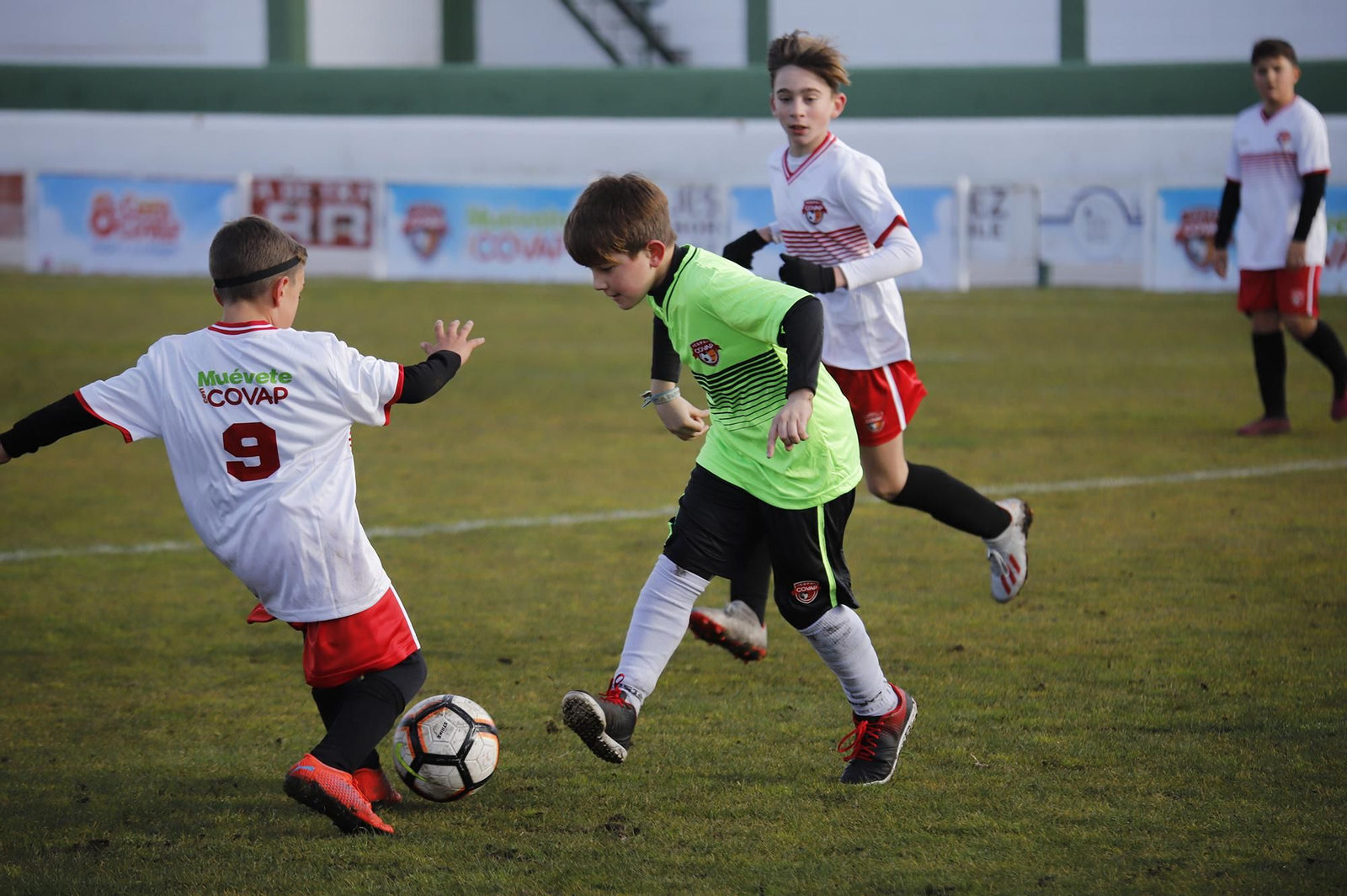 Las mejores fotos de la VIII Copa Covap en Pozoblanco