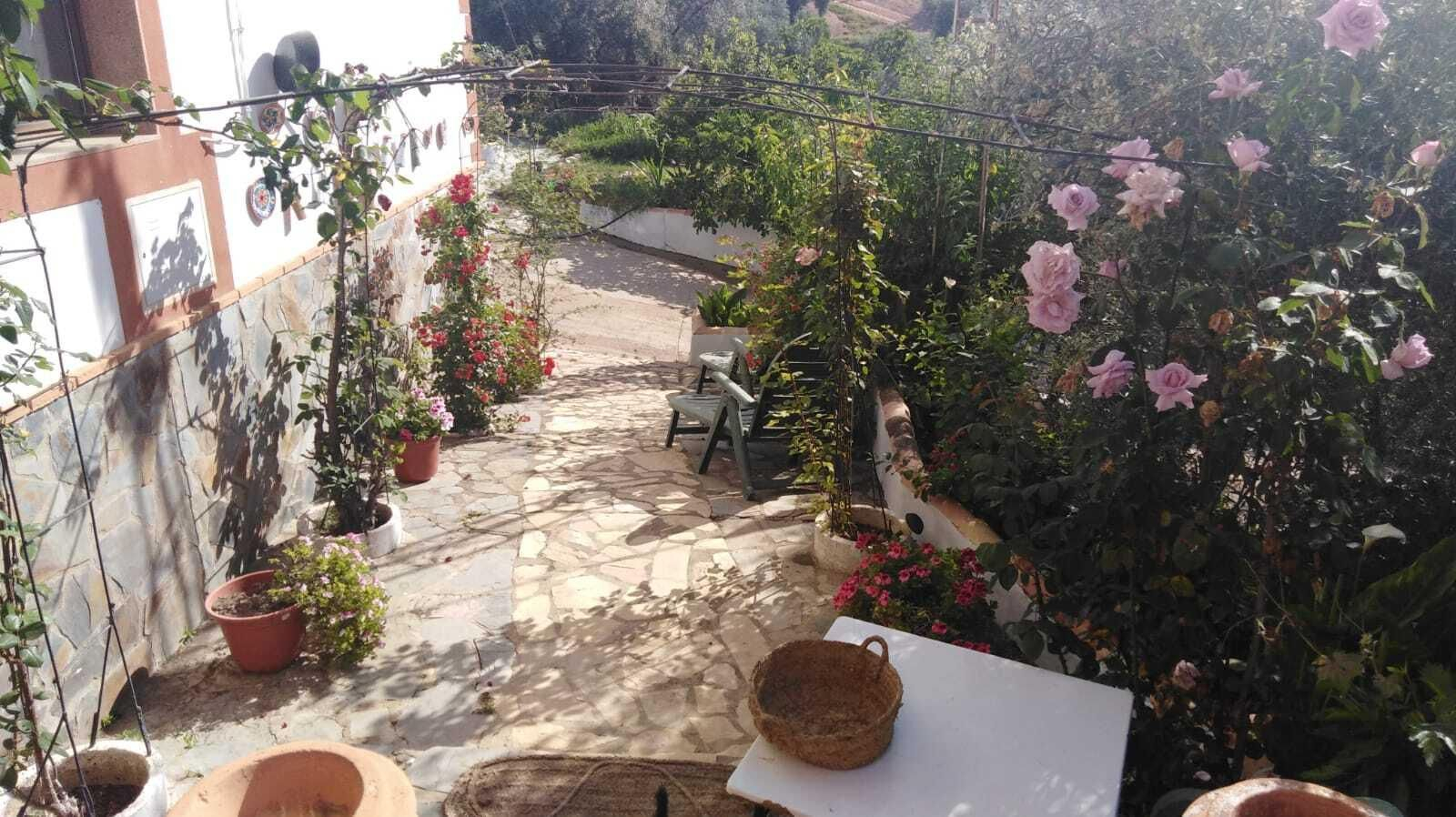 Fotografías de cómo lucen los patios, balcones y rejas de Iznájar.