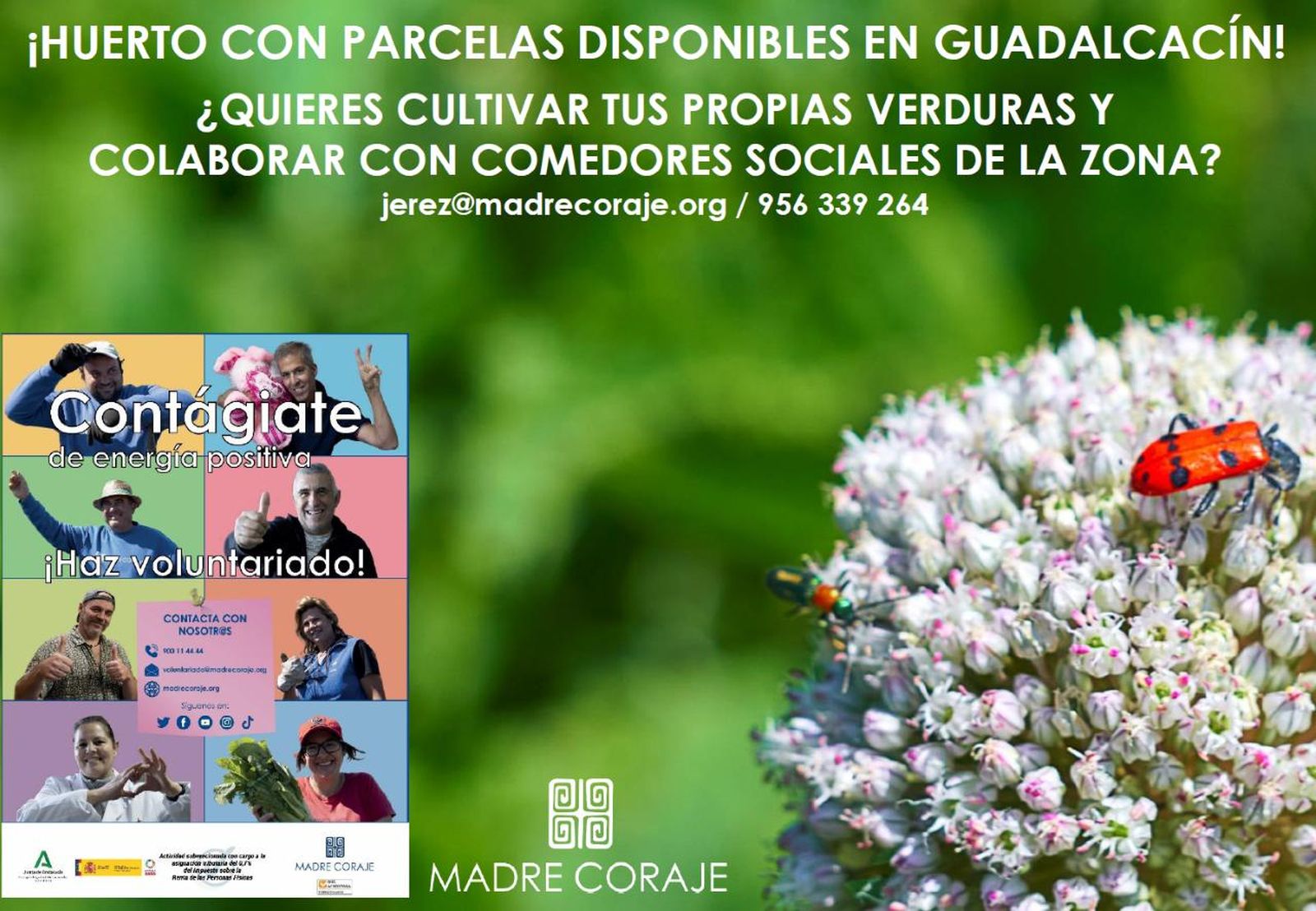 Imagen de la campaña de Madre Coraje para el voluntariado en Jerez