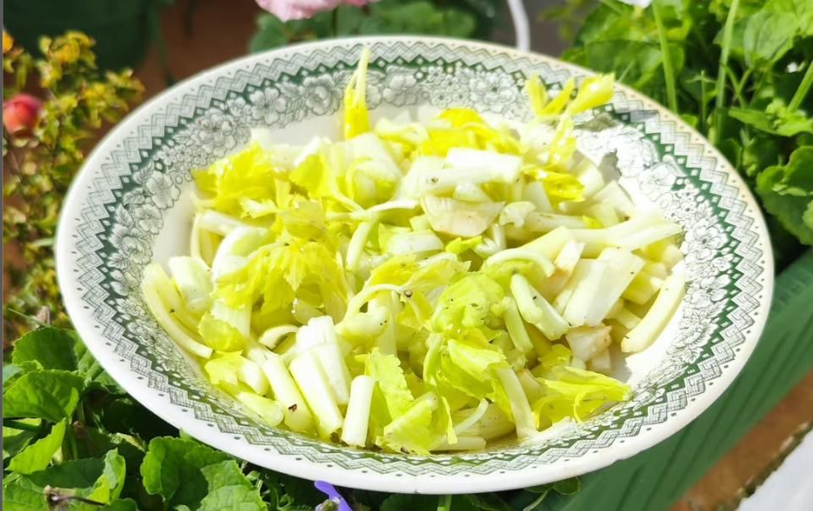 Un plato de aliño de apio