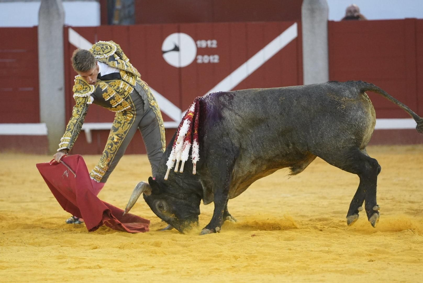 La corrida de toros de Ferrera, Escribano y Lamelas en Pozoblanco, en imágenes