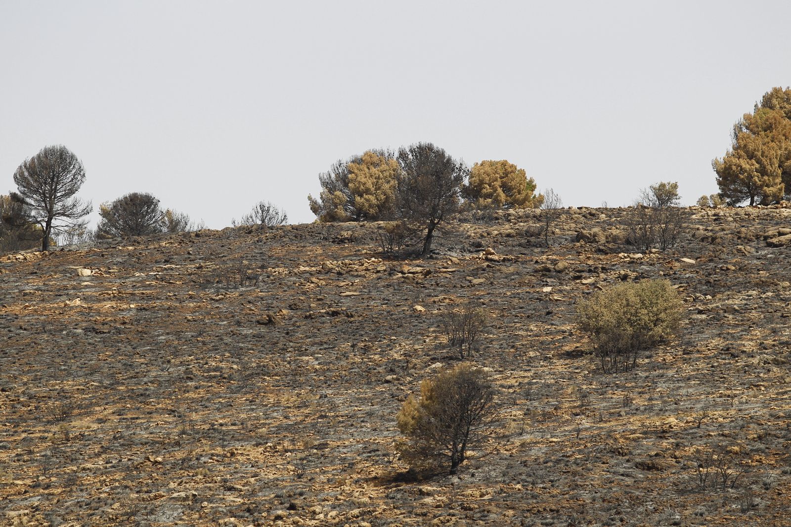 Fotogalería incendio extinguido Sierra de Gádor