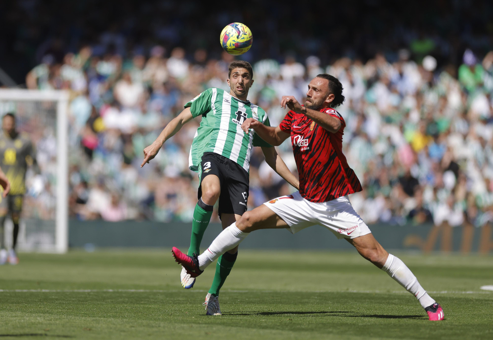 Las Imágenes del Betis-Mallorca