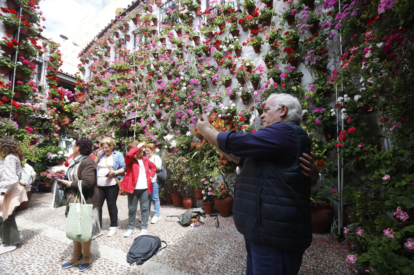 Colas e ilusión en el primer sábado de los Patios de Córdoba, en imágenes