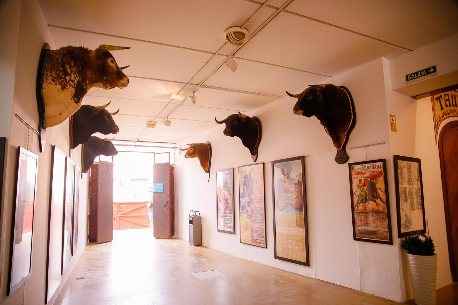 Imágenes de la corrida de toros en Roquetas de Mar