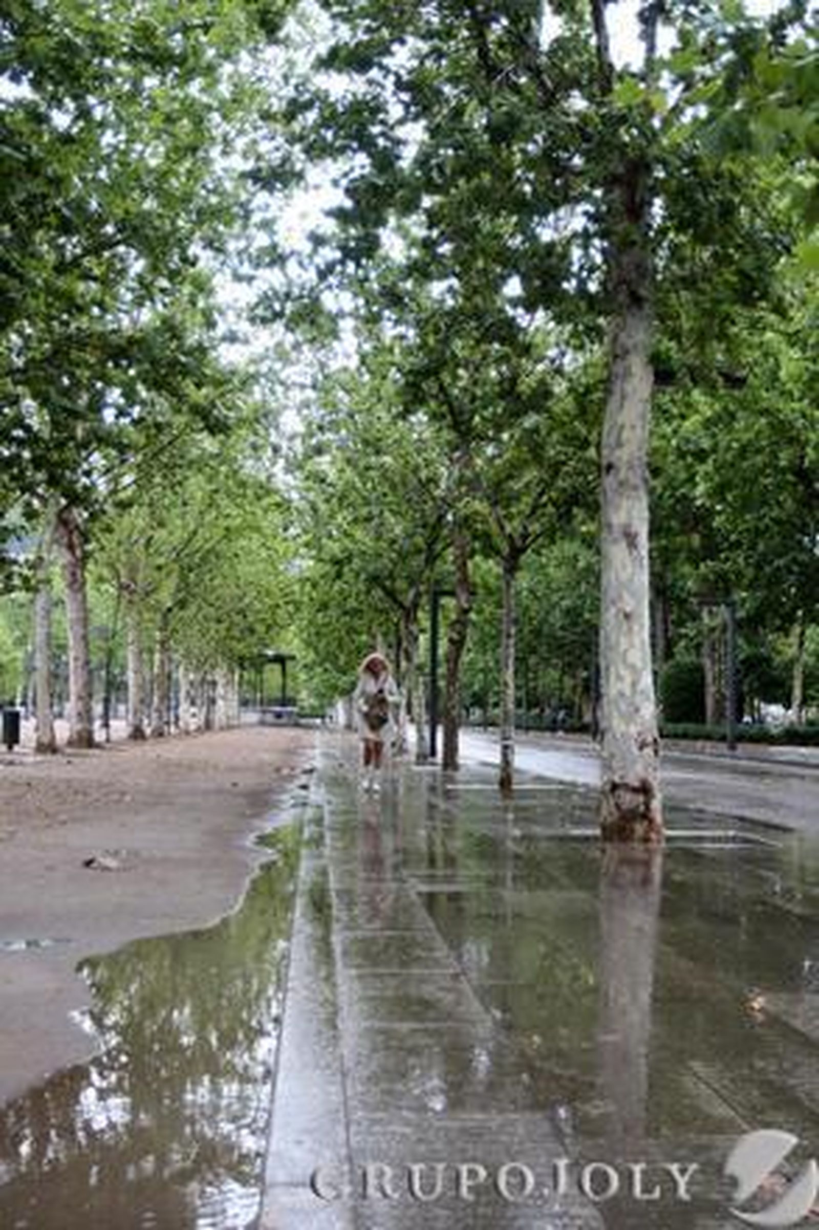 Foto: M.De La Cruz/ Granada Hoy