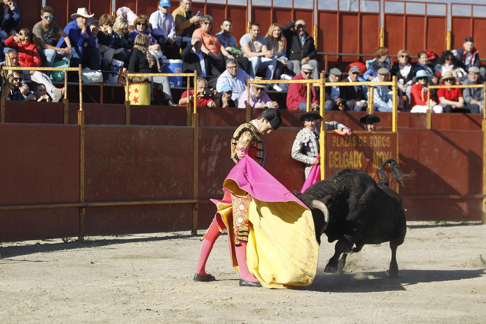 Fotogalería Novillada Fiestas de Abrucena