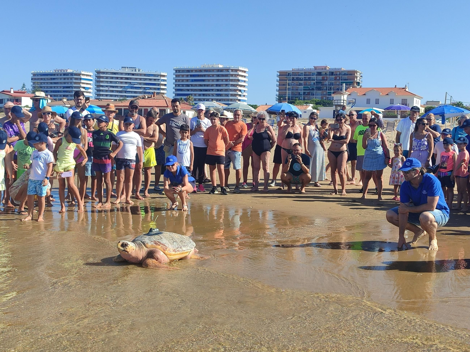 Donatello volvió al mar en Punta Umbría.