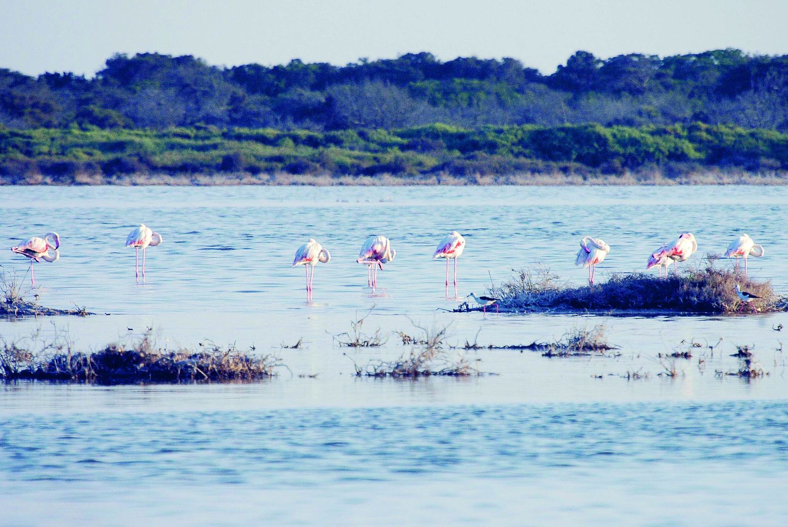 La perdida de sostenibilidad es uno de los retos a los que se enfrenta el planeta