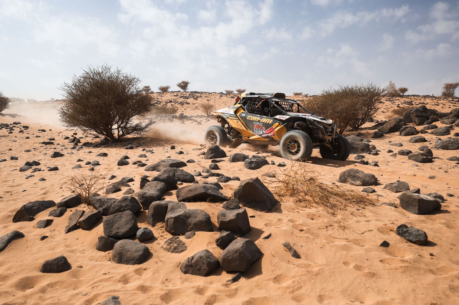 Las mejores fotos del Rally Dakar | undécima etapa