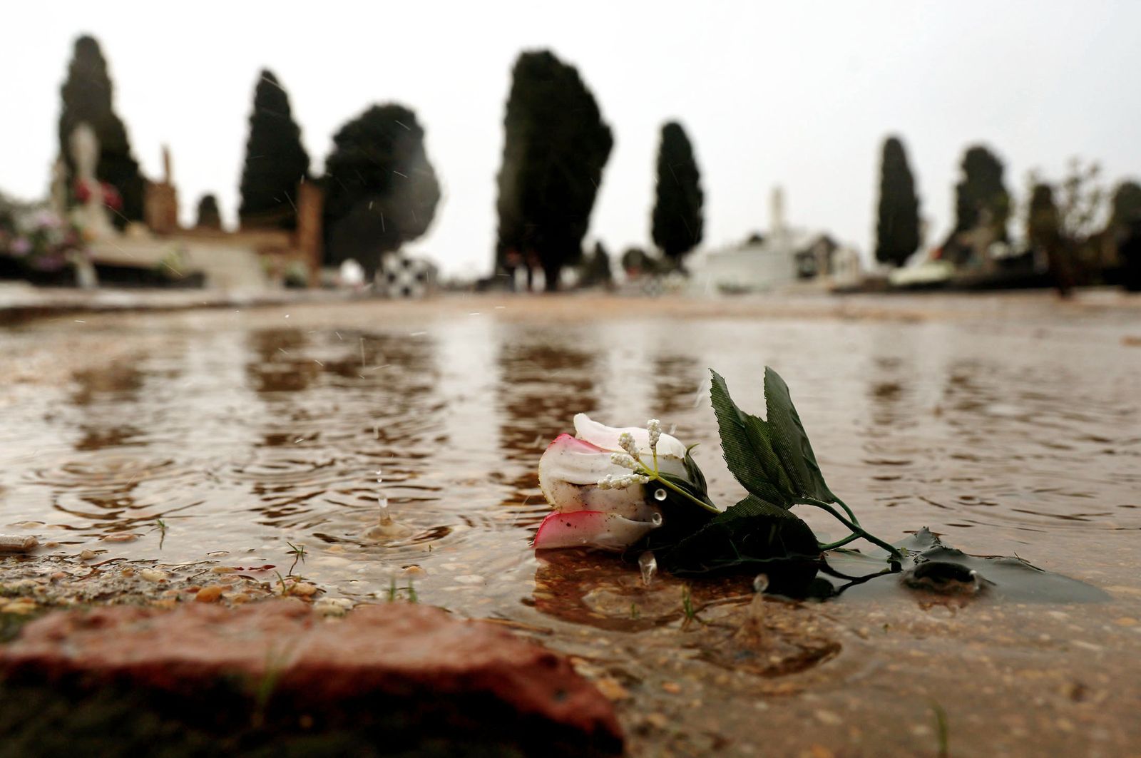 Las mejores imágenes del viernes 1 de noviembre en Huelva