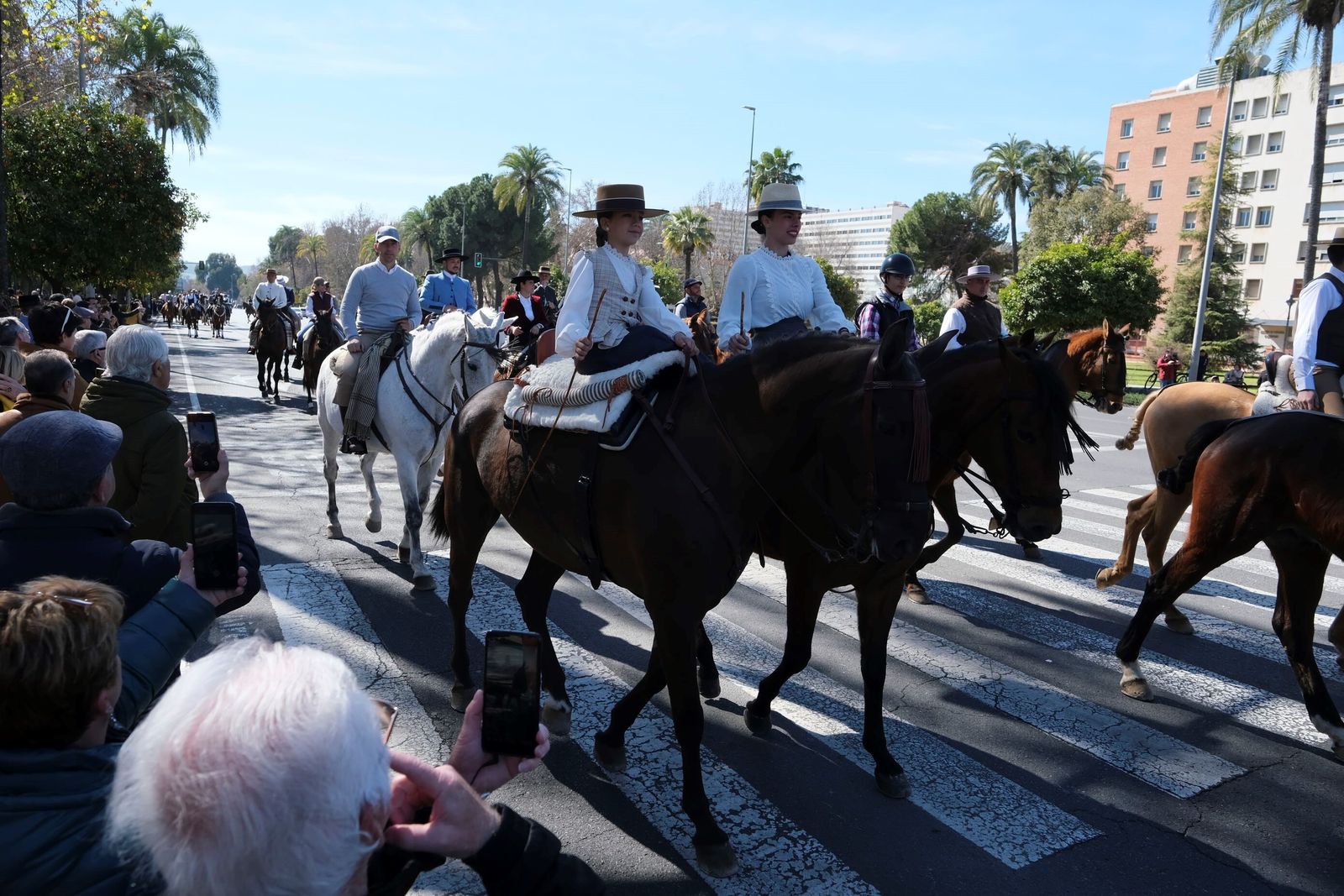 La XV marcha hípica por el Día de Andalucía en Córdoba, en imágenes
