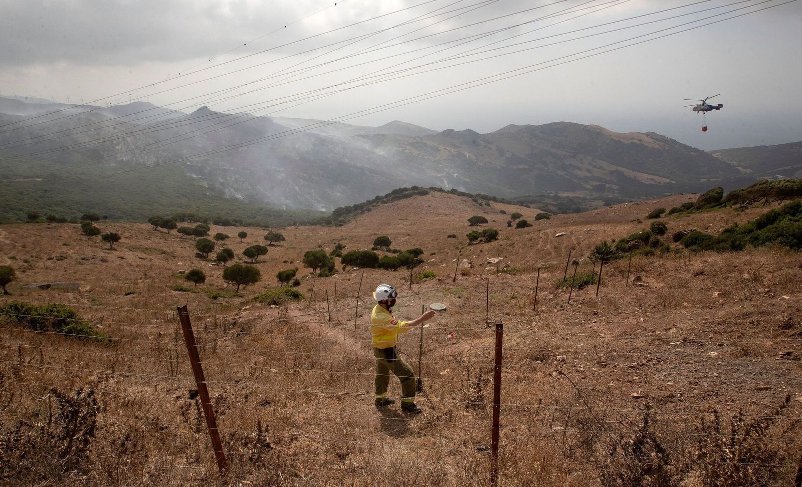 Hectáreas afectadas tras el incendio en Tarifa