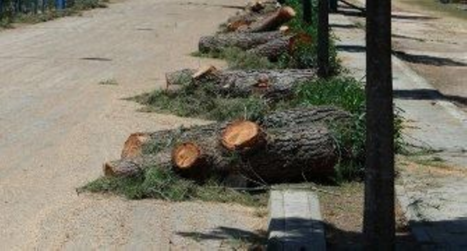 El Alamillo se asfixia