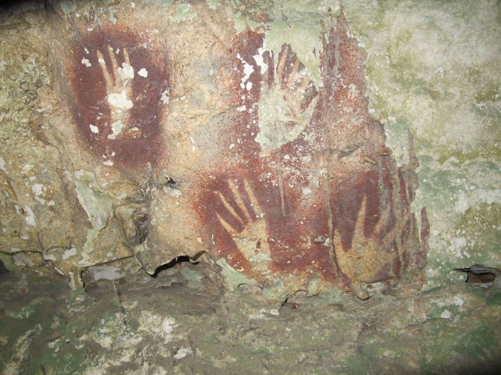 Hallan la pintura rupestre más antigua, de hace 67.800 años, en una cueva en Indonesia.