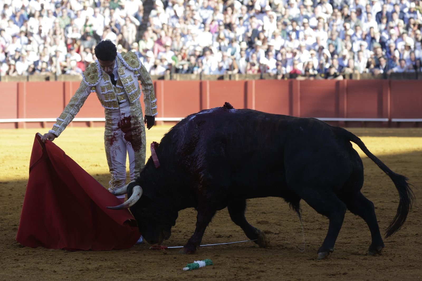 Las imágenes del festejo
