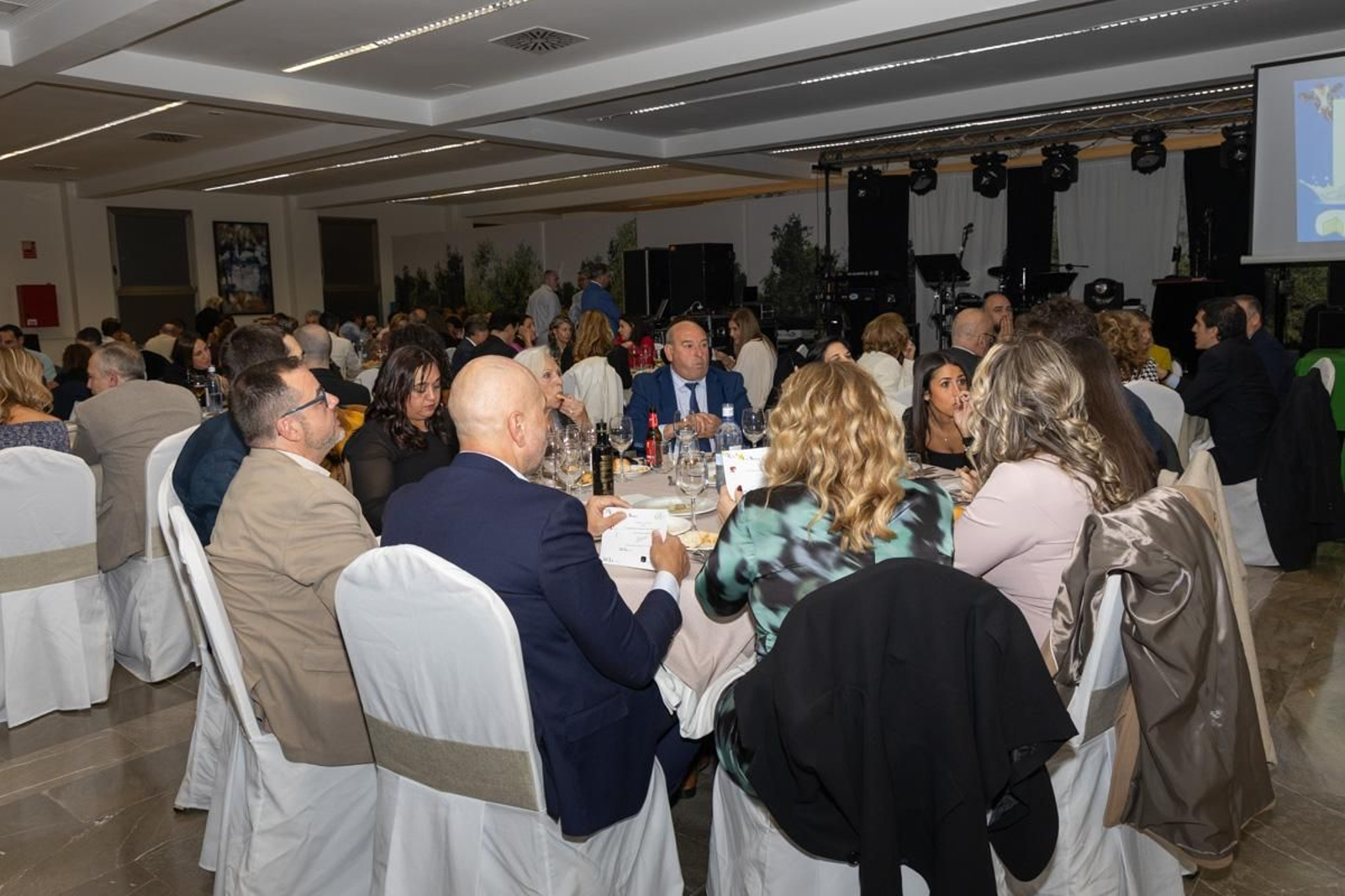 VII cena solidaria de la Asociación para la Lucha contra las Enfermedades de la Sangre (ALES), en imágenes