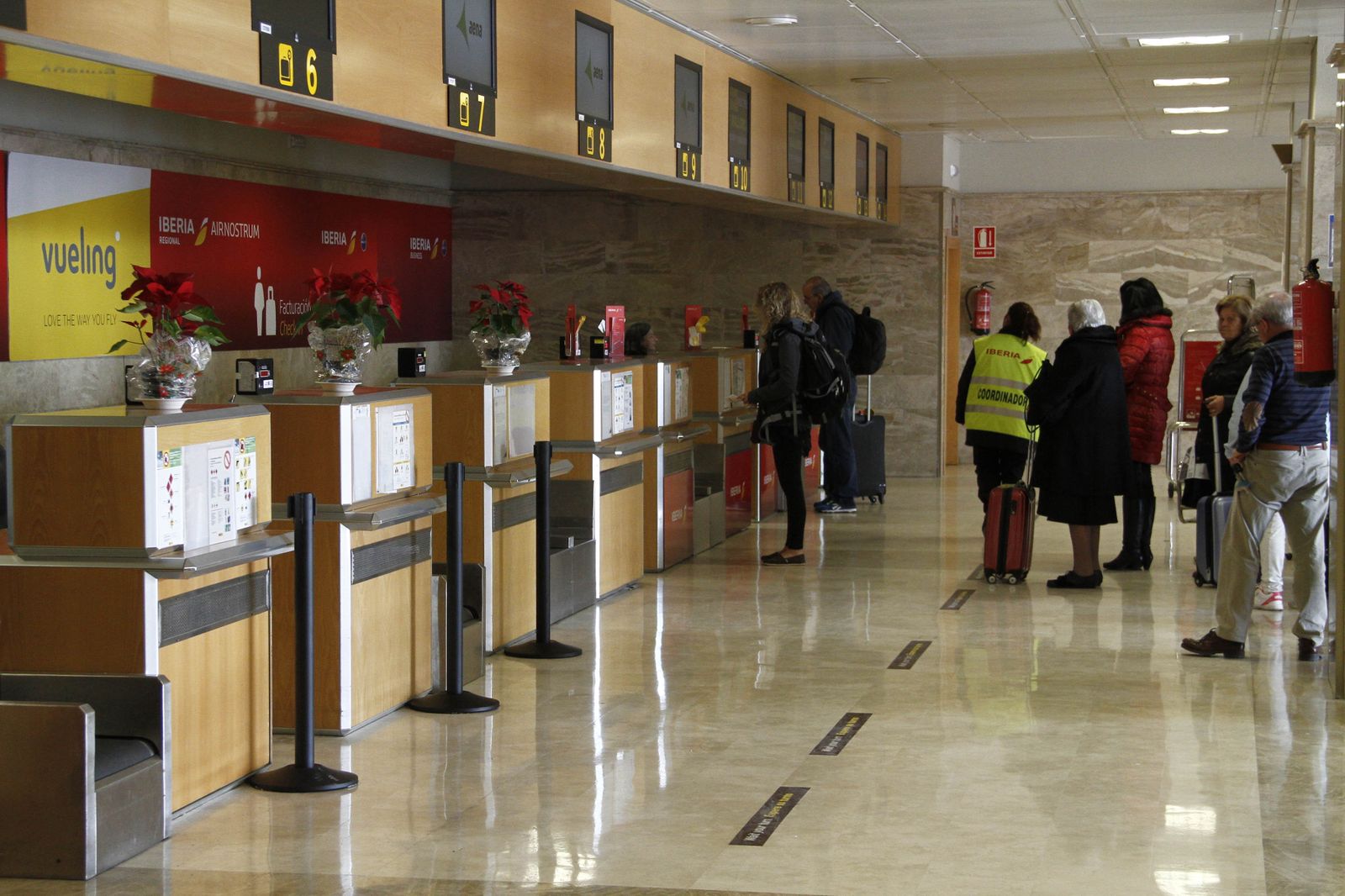 El plazo de ejecución de los trabajos es de doce meses.