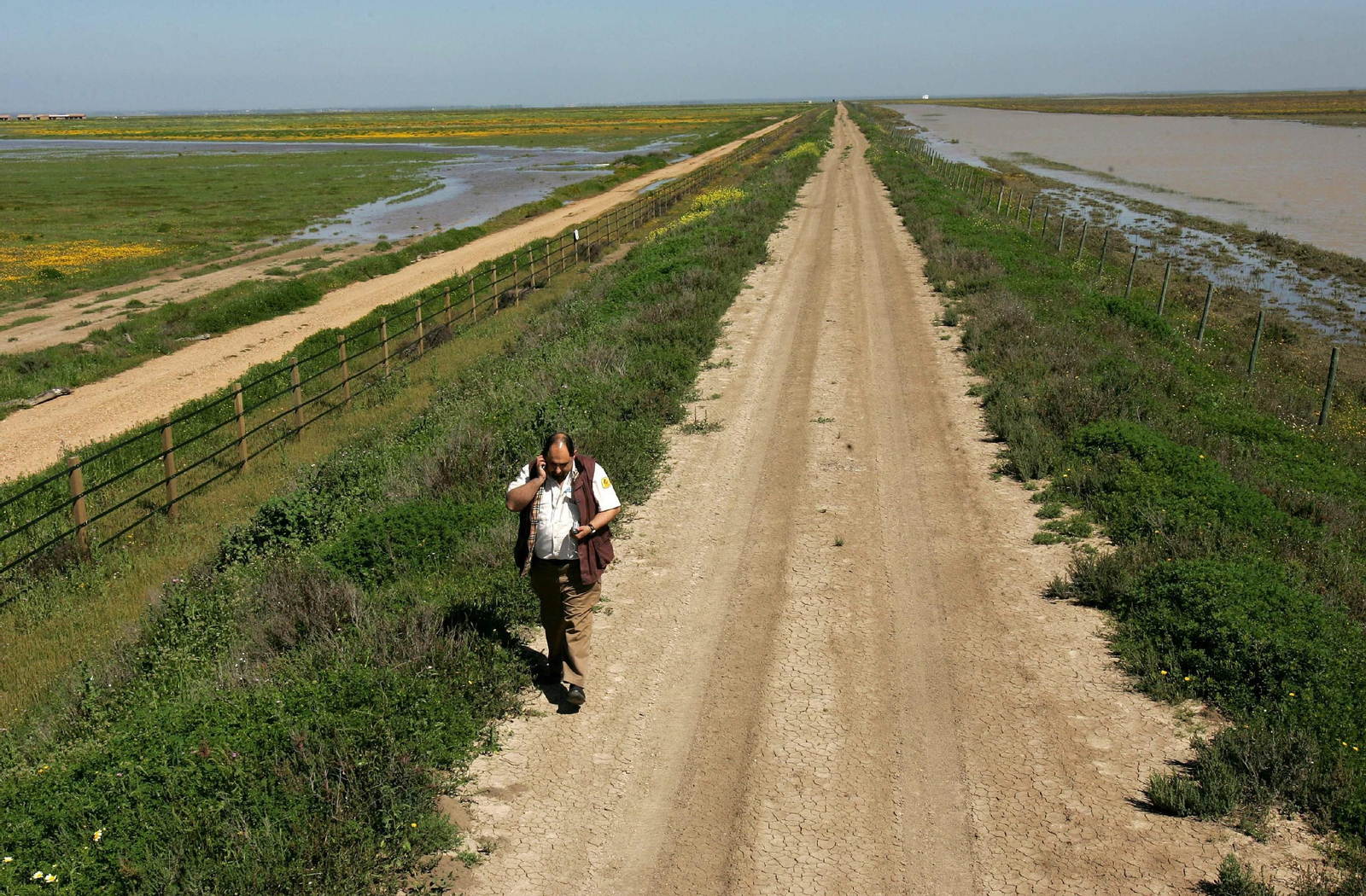 Un hombre camina por un paraje de Doñana.