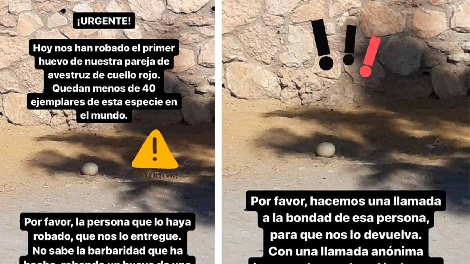 Historias de Instagram del MiniHollywood.