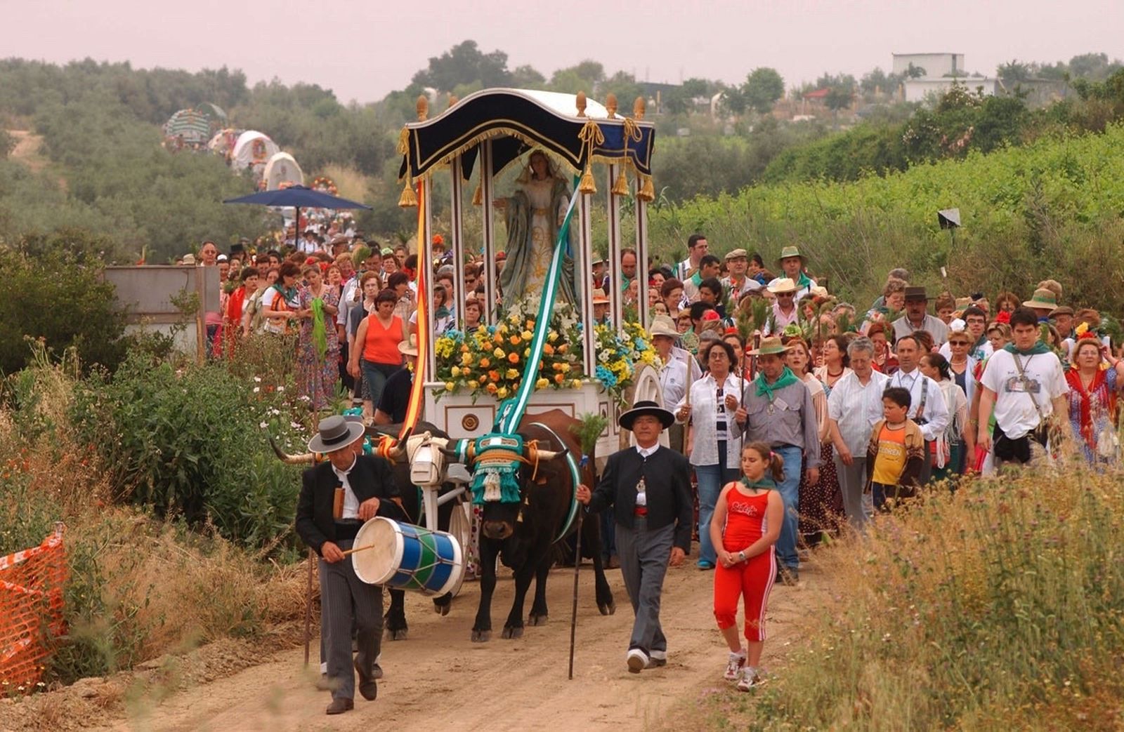 Imagen de la Romería Virgen de las Viñas.