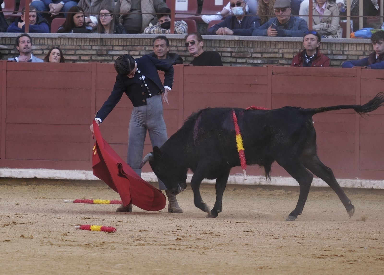 La becerrada en la plaza de toros de Córdoba en homenaje a la afición, en fotografías