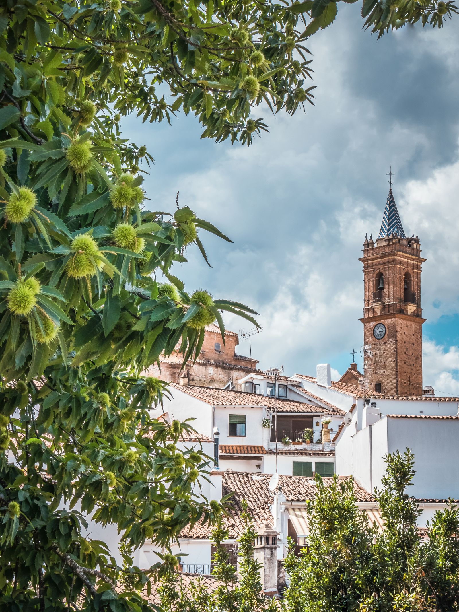Estampa de Fuenteheridos.