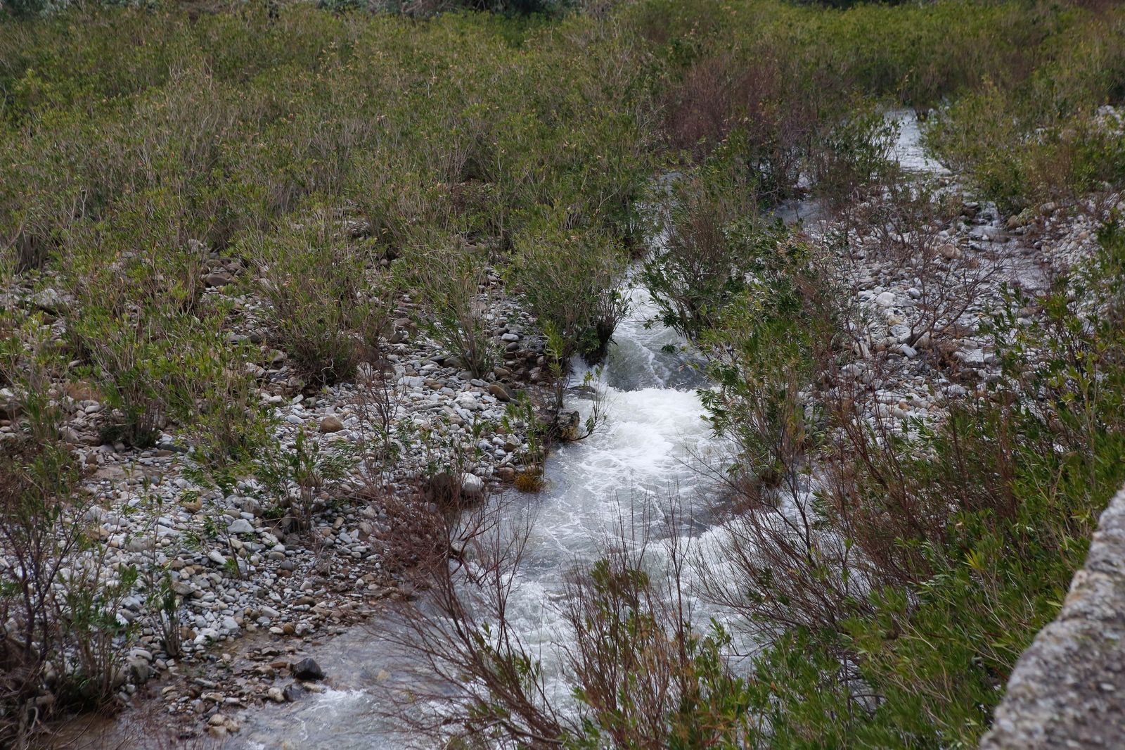 Fotos de las consecuencias de la borrasca Francis en Tesorillo y Jimena