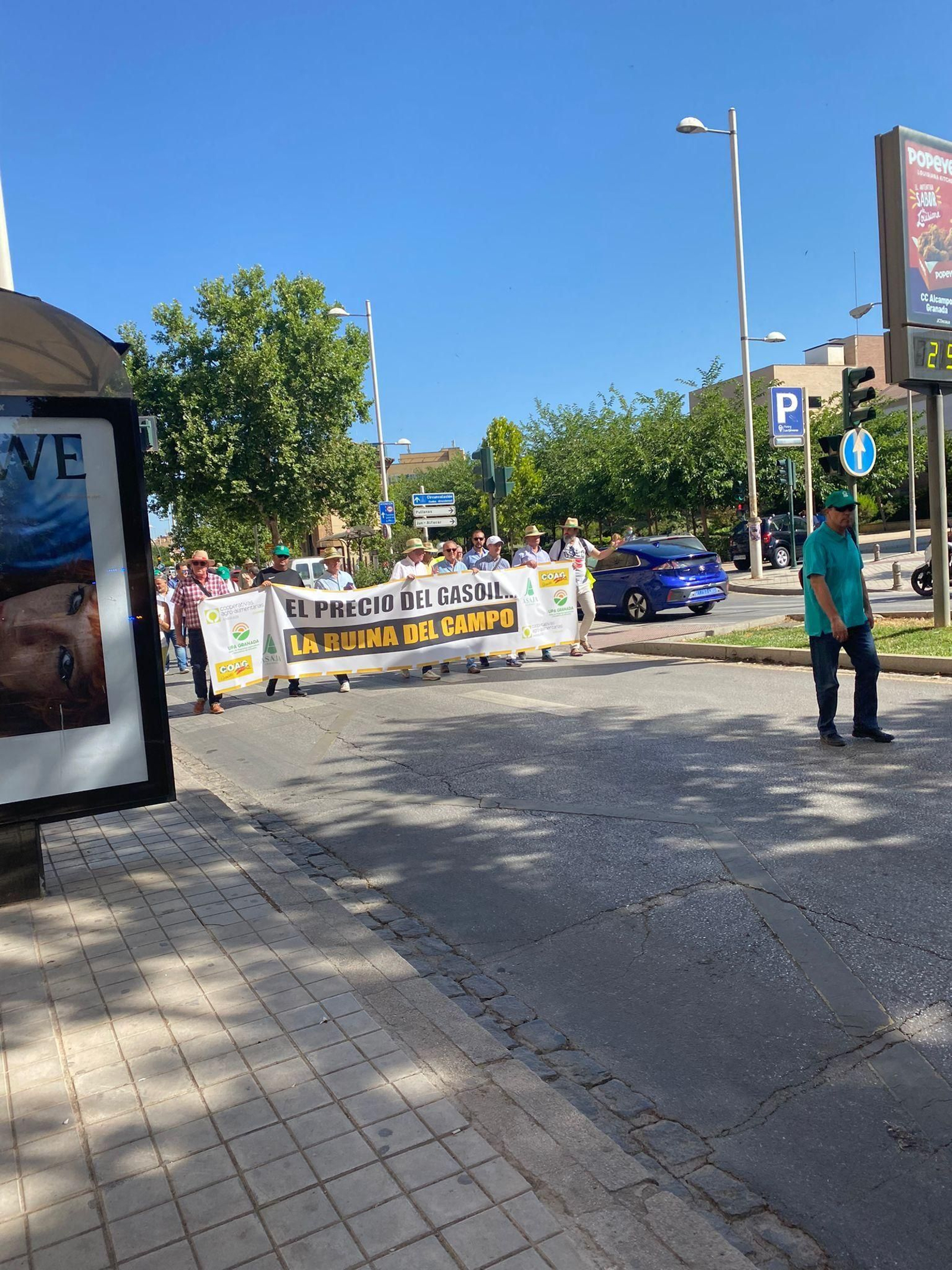 Cabecera de la manifestación