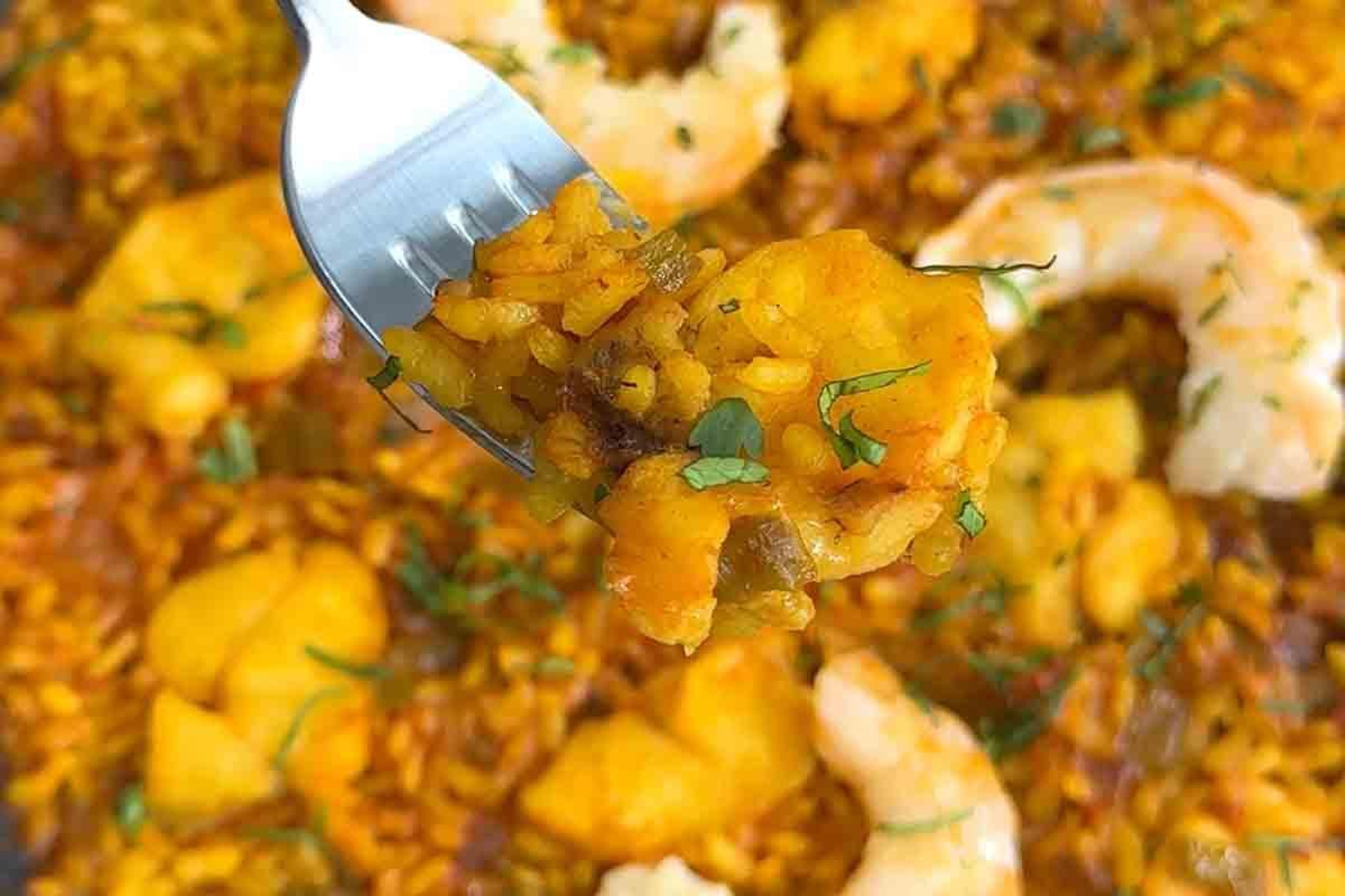 paso a paso paella de rape emplatado paso a paso paella de rape emplatado