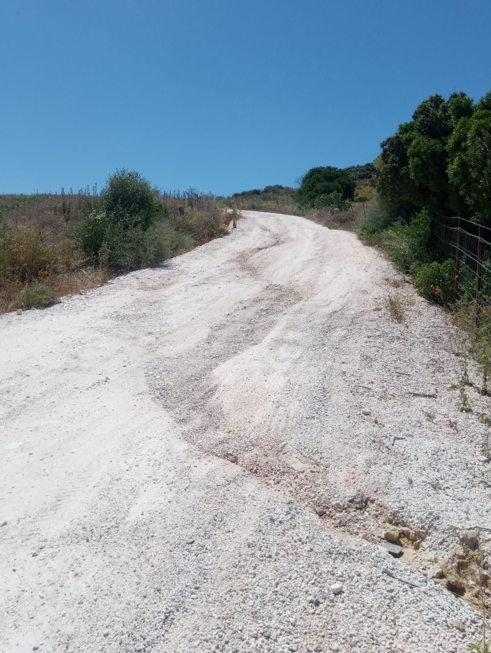 El estado del camino de Malas Pasadas, en Tesorillo