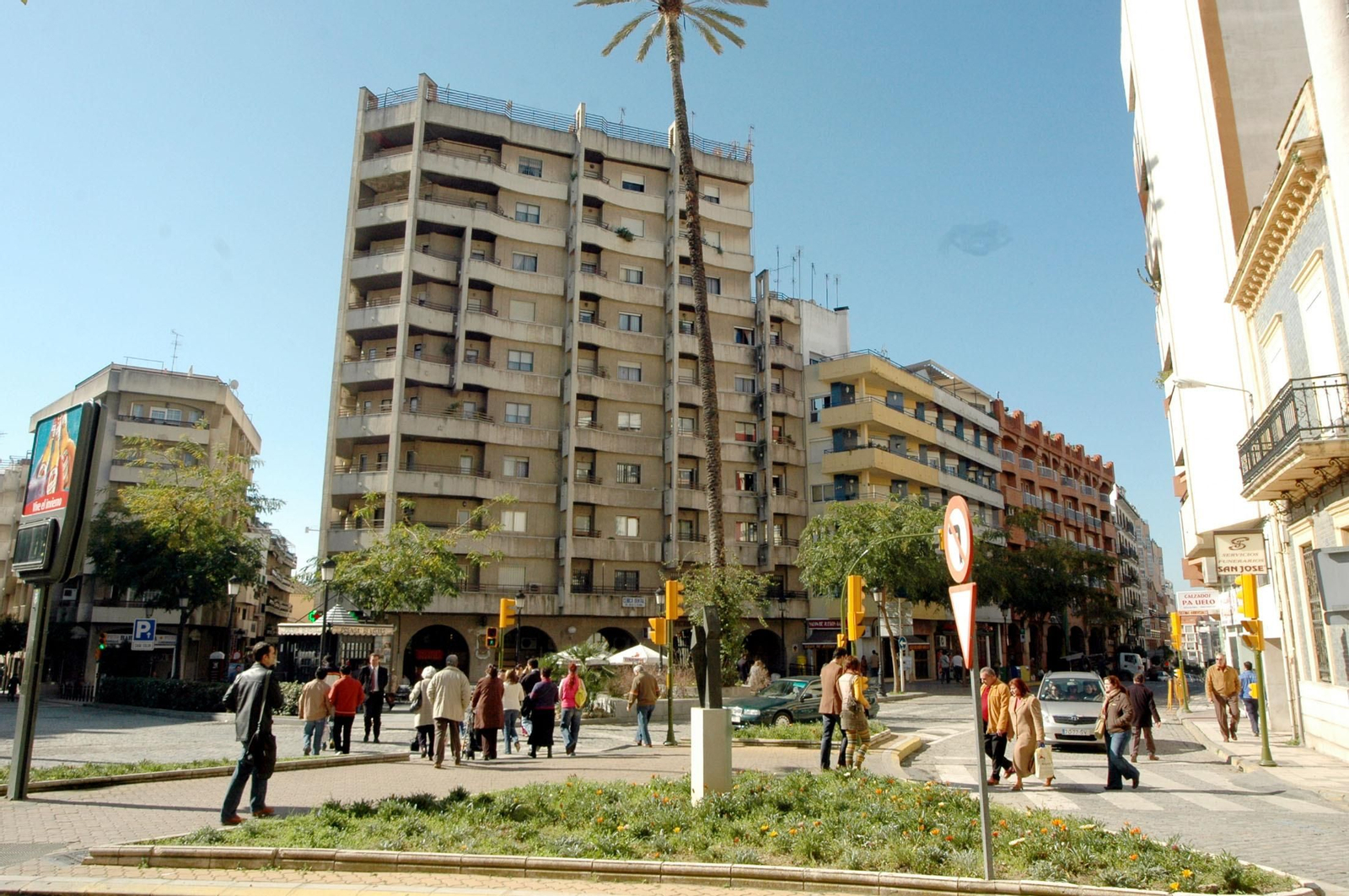 Triste adiós a la palmera más famosa de Huelva: Imágenes de sus 130 años de historia