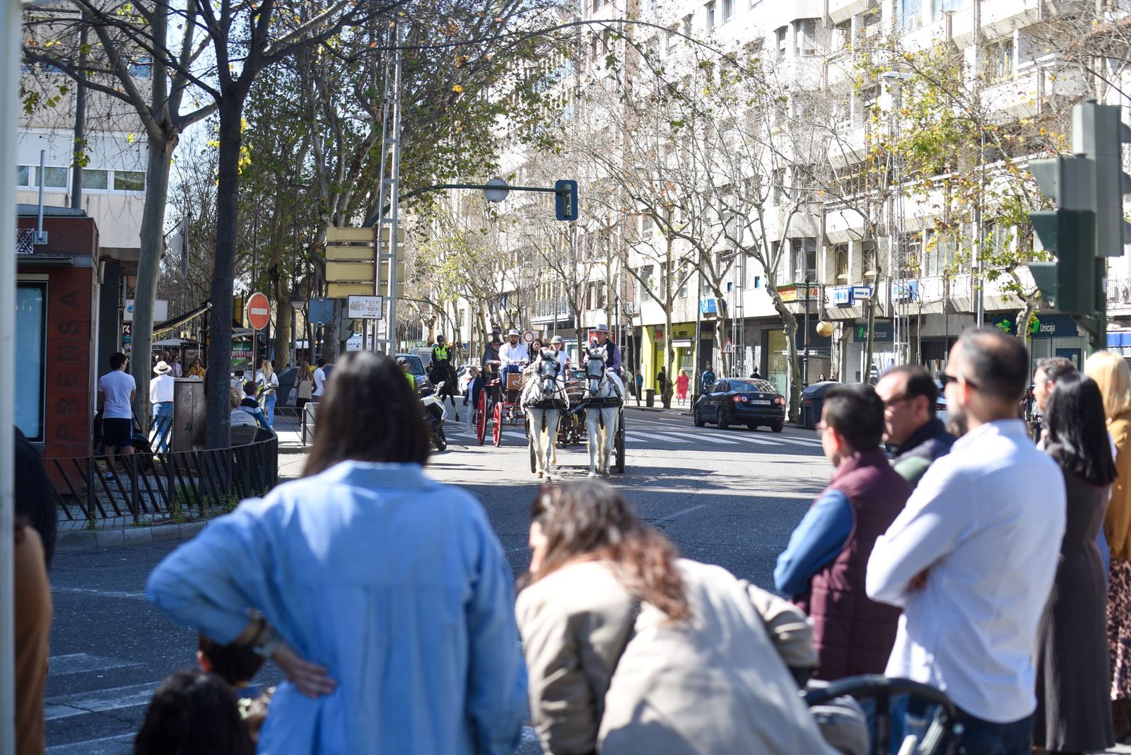 Las mejores imágenes de la Marcha Hípica Córdoba a Caballo del 28F de 2026