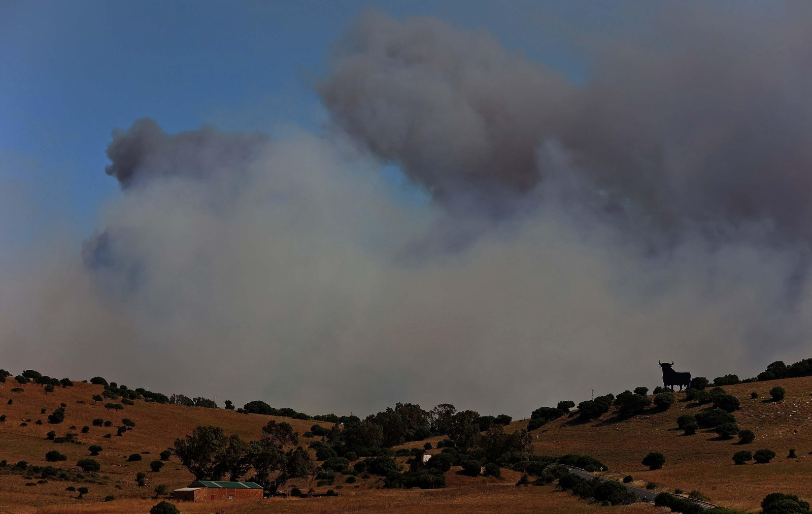 Imágenes del incendio de monte La Peña en Tarifa Imágenes del incendio de monte La Peña en Tarifa