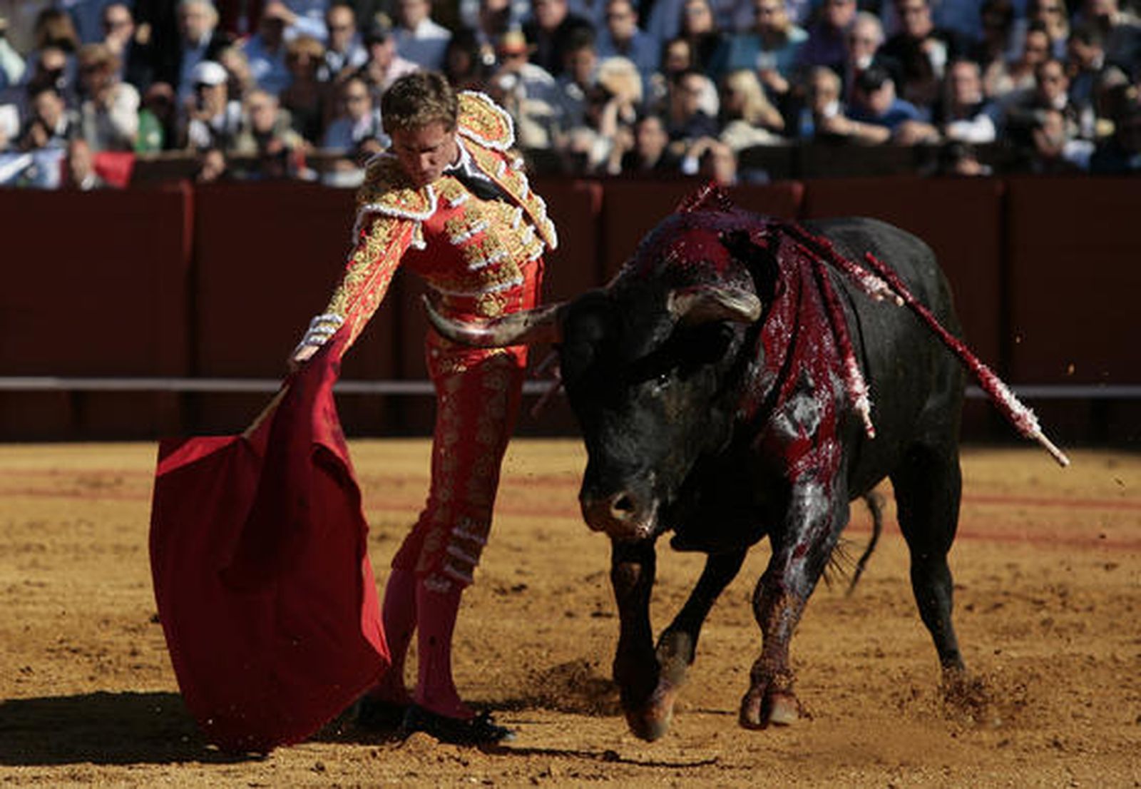 José Luis Moreno abre la última tarde de Feria en la Maestranza.

Foto: Juan Carlos Muñoz