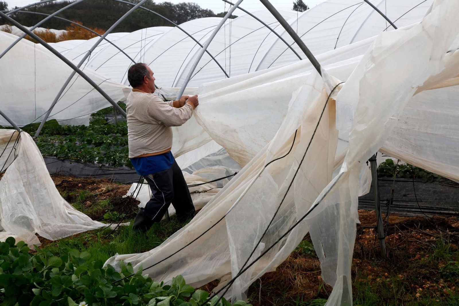 Imágenes de los destrozos de la tormenta Elsa en la costa de Huelva