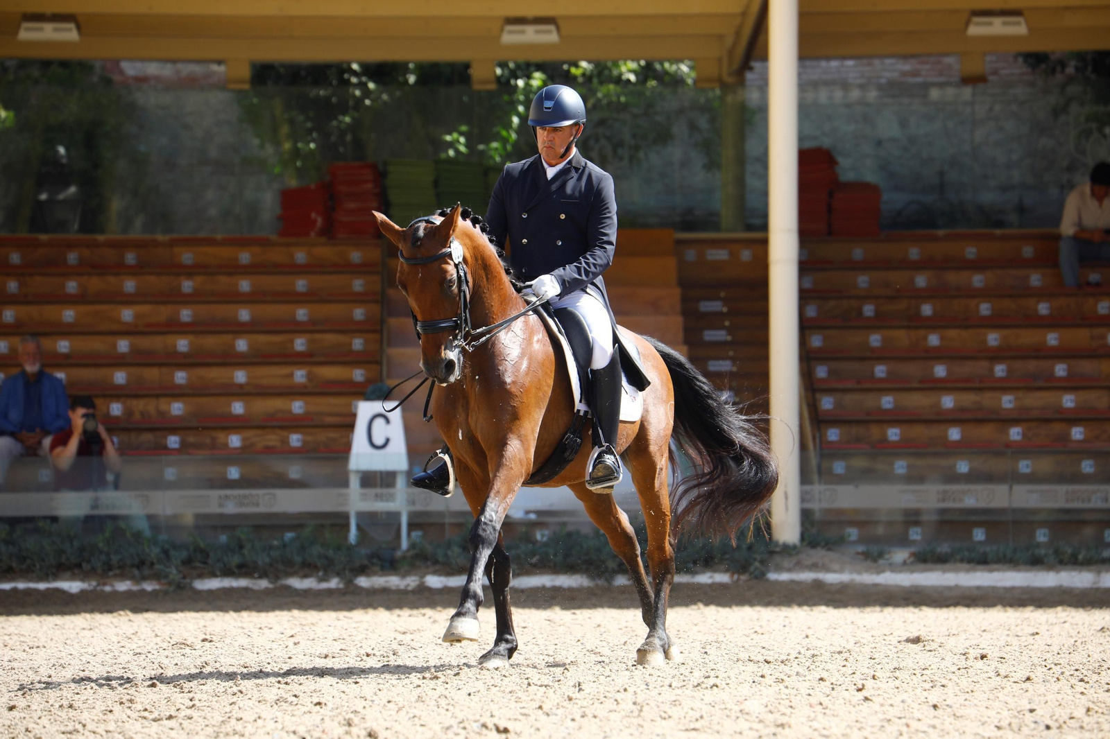 El concurso nacional de Doma Clásica en las Caballerizas Reales de Córdoba