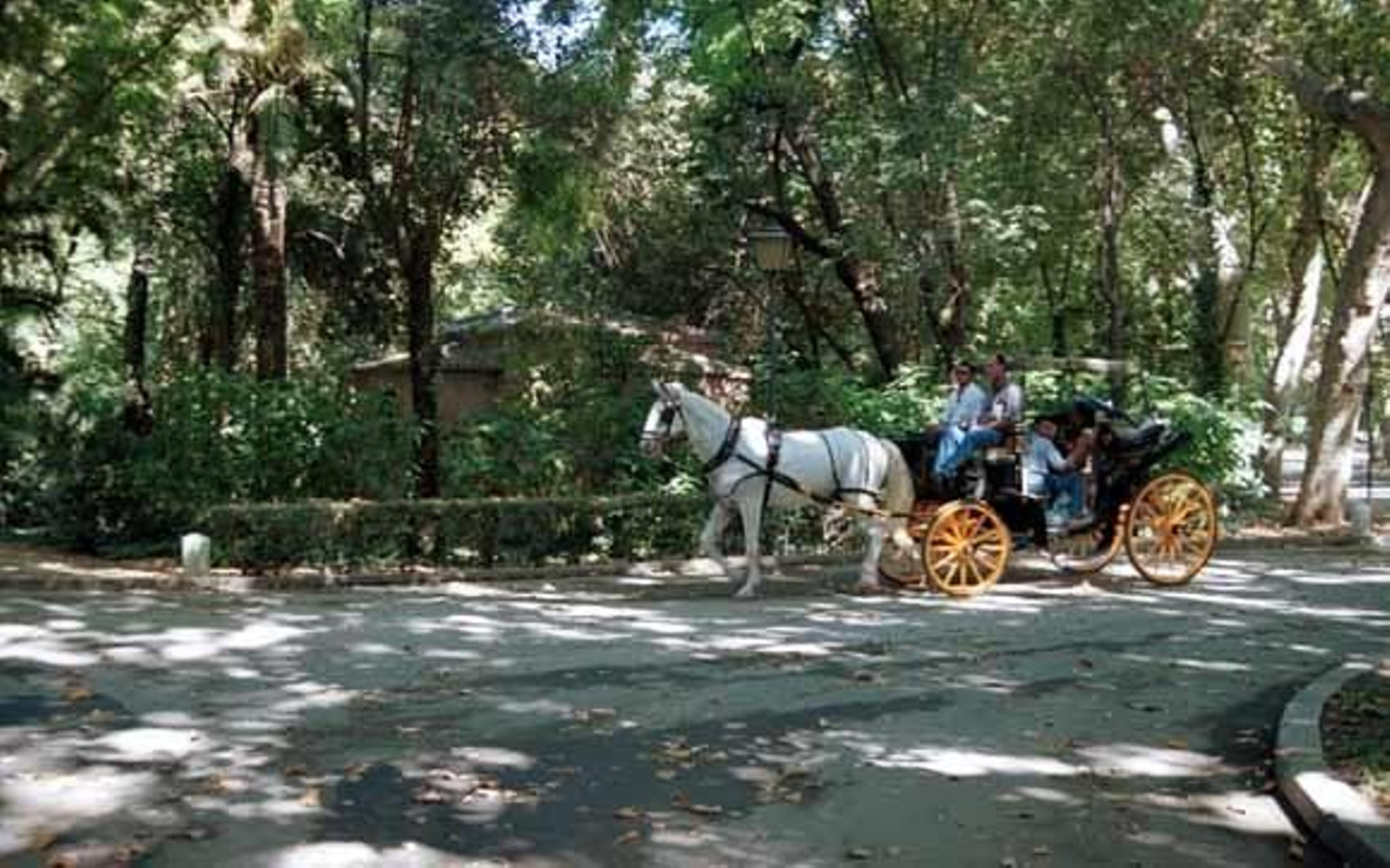 Sacyr se adjudica el mantenimiento de zonas verdes por 6,5 millones