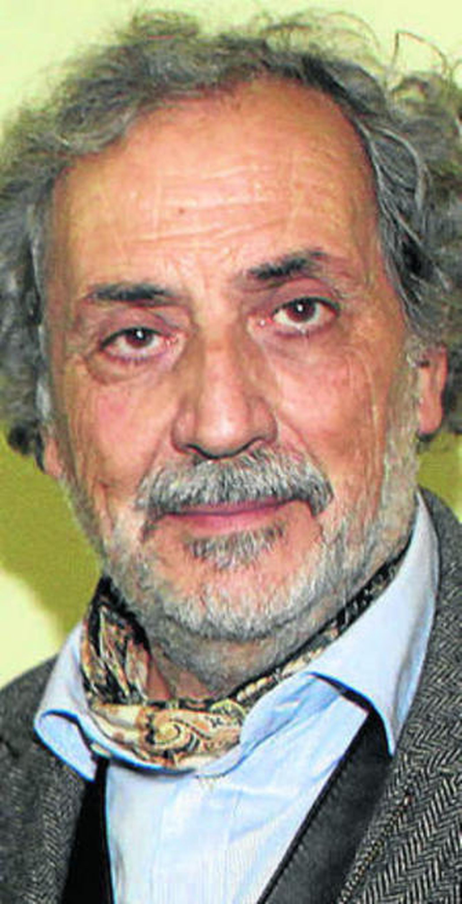 Chamizo y el chico de la chica