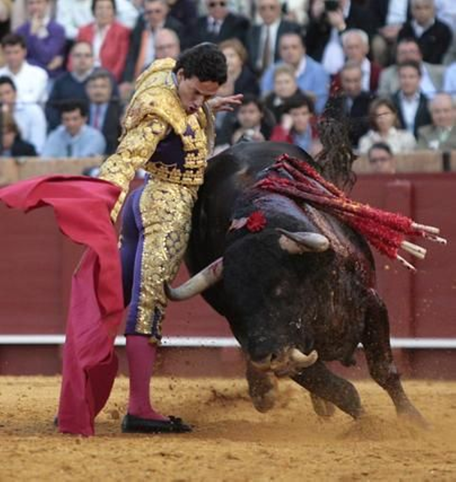 El quinto toro del encierro Conde de la Maza destacó en la quinta de abono de la Maestranza.

Foto: Juan Carlos Muñoz