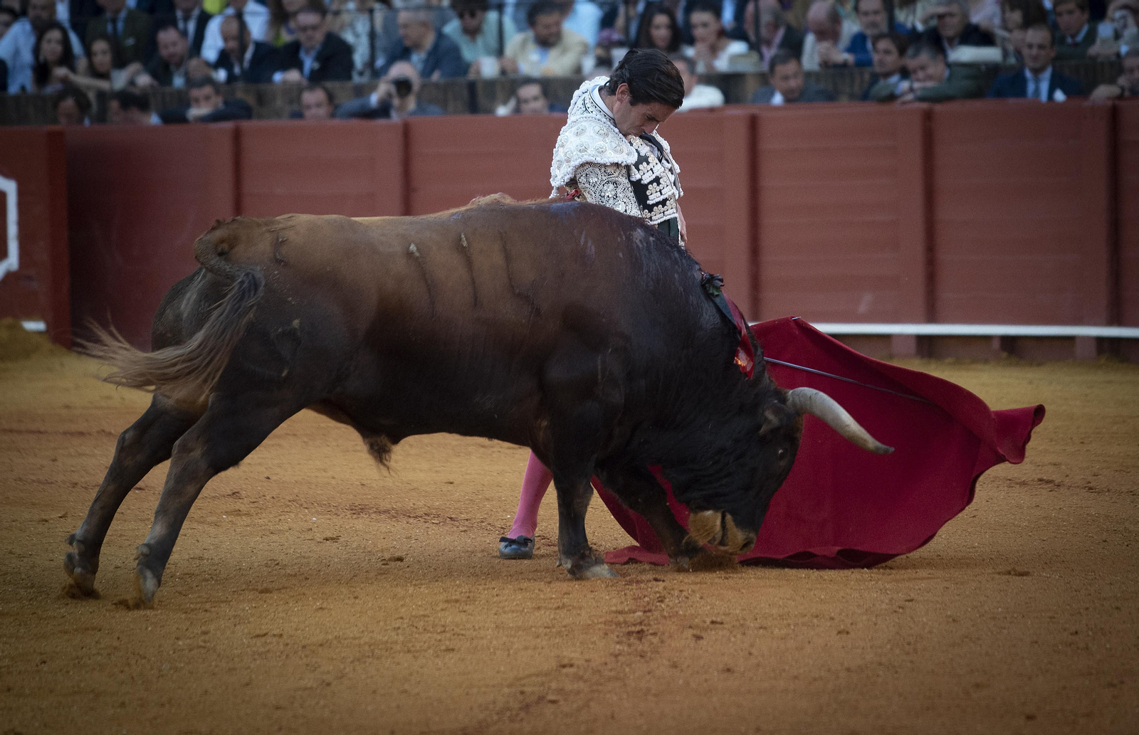 Las mejores imágenes del duodécimo festejo de toros