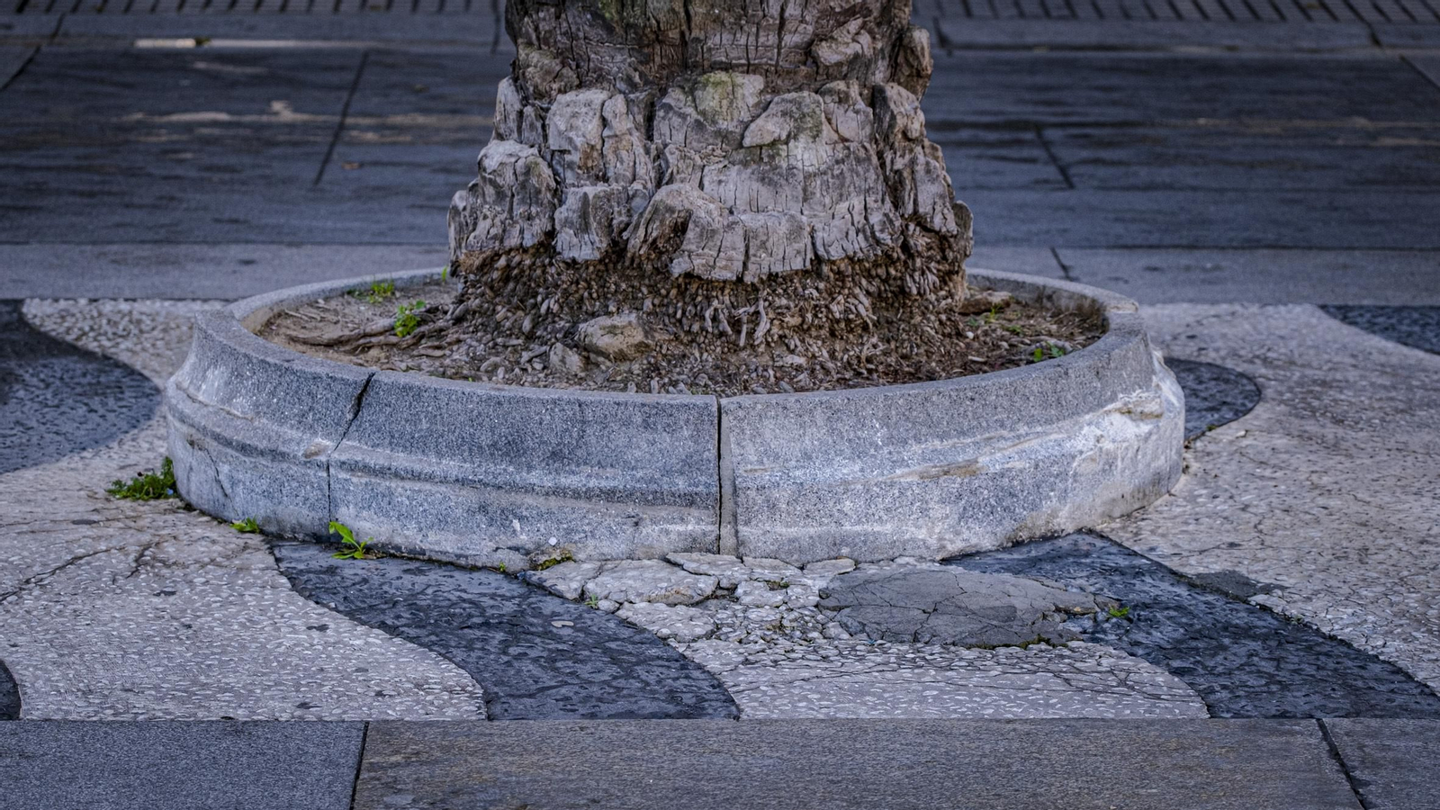 Plaza de San Juan de Dios.