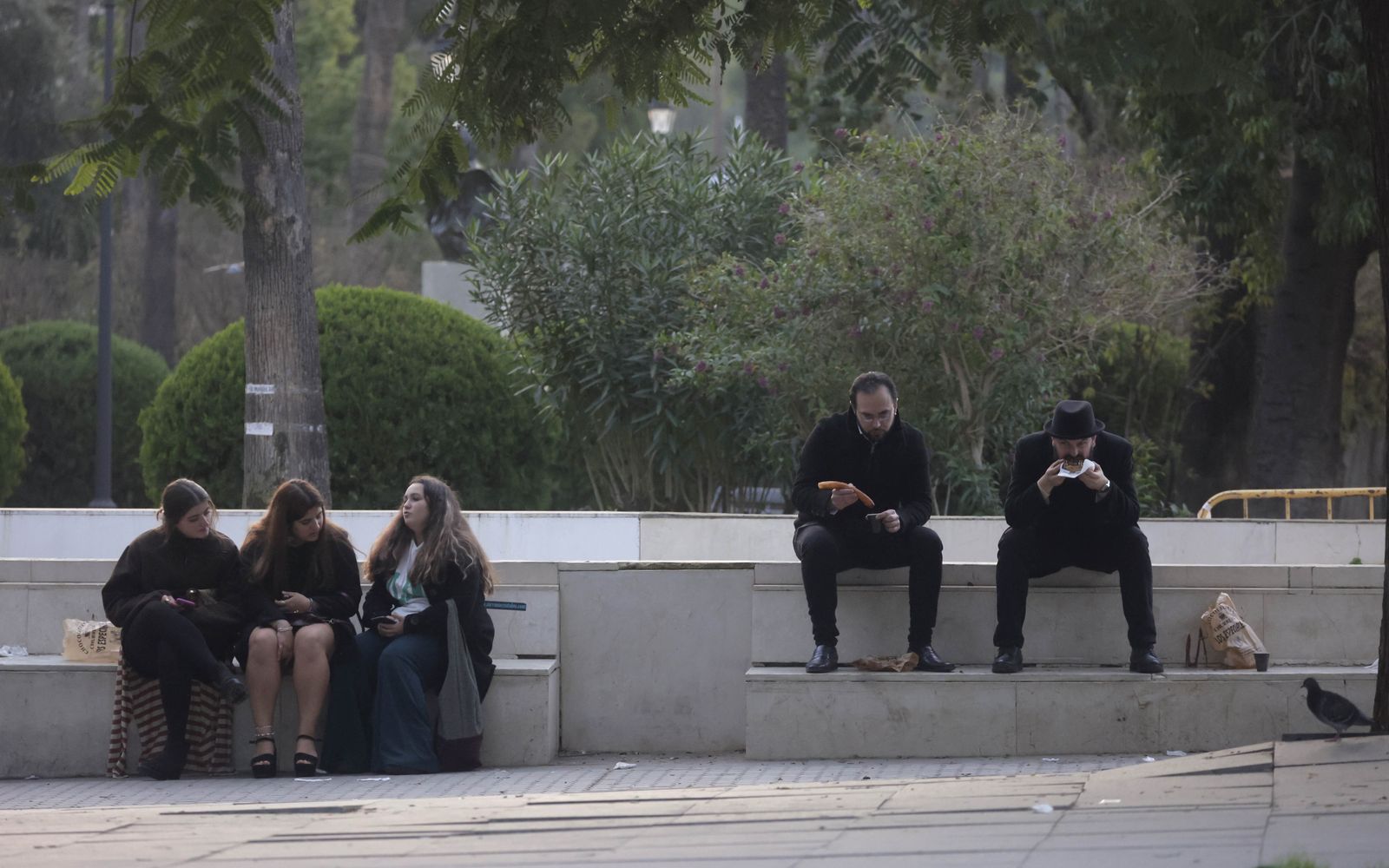 Primeras imágenes del Año Nuevo