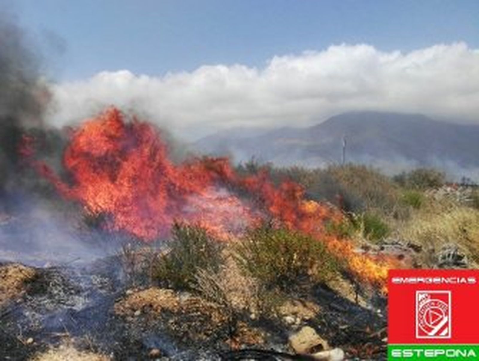 Estabilizado el incendio declarado cerca del polígono industrial de Estepona